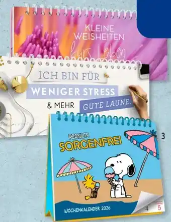 Aldi Süd Tischkalender 2026 Angebot