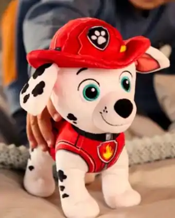 Aldi Süd Paw Patrol Plüschfigur Angebot