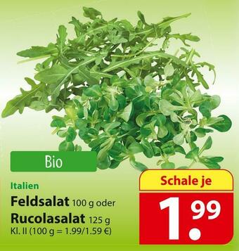 Famila Nord Ost Bio feldsalat oder rucolasalat Angebot
