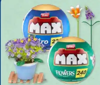 Aldi Süd Zuru Max-Kapsel Angebot