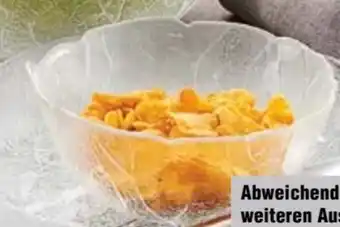 Handelshof Arcoroc Puddingteller Aspen Angebot