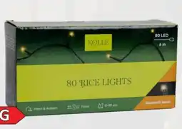 Pflanzen Kölle Kölle LED Rice Lights Angebot