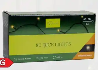 Pflanzen Kölle Kölle LED Rice Lights Angebot