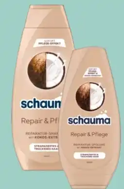 Rossmann Schwarzkopf Schauma Shampoo Angebot