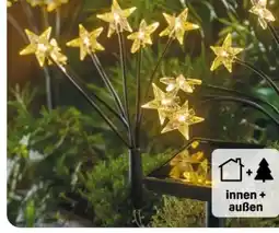 Rossmann Rossmann Ideen Welt Solar-Gartenstecker Angebot