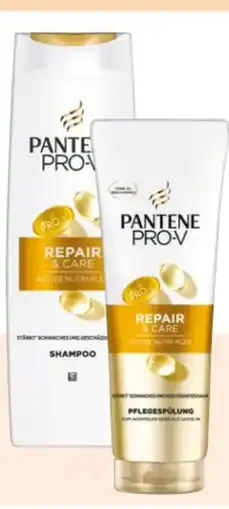 Rossmann Pantene Pro-V Shampoo Angebot