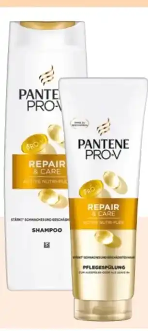 Rossmann Pantene Pro-V Shampoo Angebot