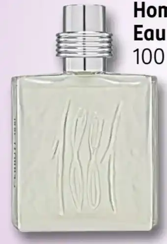 Rossmann Cerruti 1881 Homme EdT Angebot