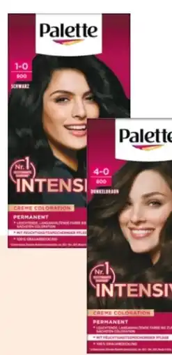 Rossmann Poly Palette Intensiv Creme Coloration Kastanie Angebot