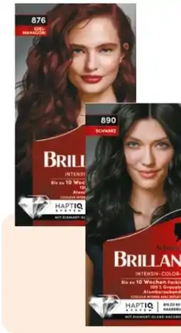 Rossmann Schwarzkopf Brillance Coloration Angebot