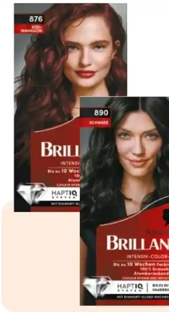 Rossmann Schwarzkopf Brillance Coloration Angebot