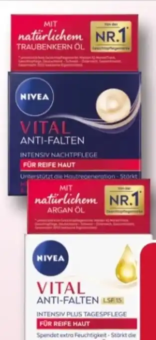 Rossmann Nivea Vital Anti-Falten intensiv Nachtpflege Angebot