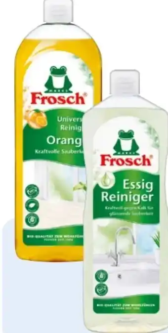 Rossmann Frosch Orangen Universal Reiniger Angebot