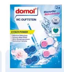 Rossmann Domol WC-Duftsteine 2in1 Angebot