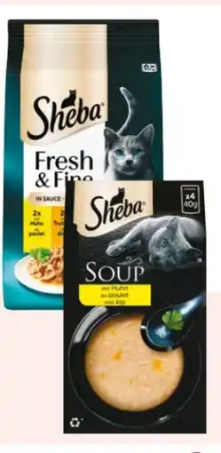 Rossmann Sheba Katzennahrung Fresh & Fine Angebot