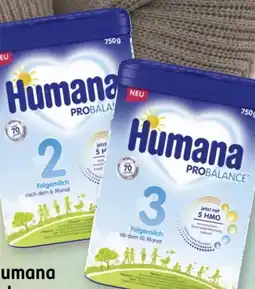 Rossmann Humana Folgemilch 2 Angebot