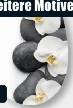 B1 Discount Baumarkt Cornat Thermoplast WC Sitz Orchidee Angebot