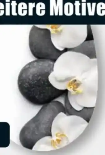 B1 Discount Baumarkt Cornat Thermoplast WC Sitz Orchidee Angebot