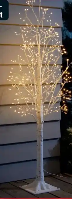 B1 Discount Baumarkt LED-Birkenbaum Angebot