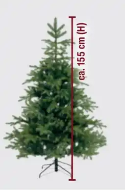 toom Baumarkt Toom Weihnachtsbaum Angebot