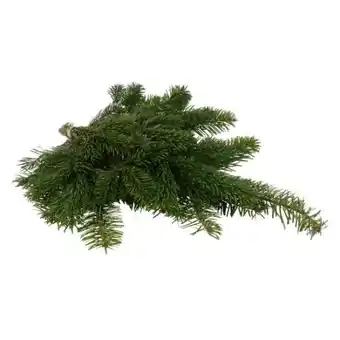 toom Baumarkt Tannengrün Handbund Angebot