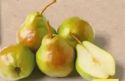 NETTO Go Regio Birnen Angebot