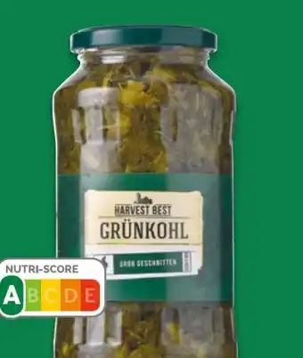 NETTO Harvest Best Grünkohl Angebot