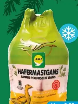 NETTO AMI Junge Polnische Hafermastgans Angebot