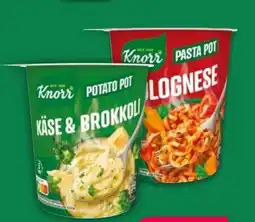 NETTO Knorr Bechergericht Angebot