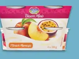 NETTO Sachsenmilch Unsere Minis Fruchtjoghurt Angebot