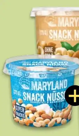 NETTO Maryland Snack Nüsse Angebot