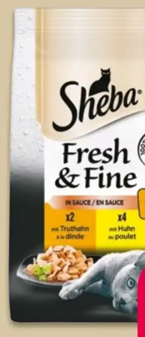 NETTO Sheba Katzennahrung Fresh & Fine Angebot