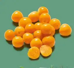 NETTO Physalisbeeren Angebot