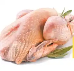 NETTO Perlhuhn Angebot