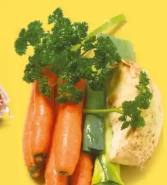 NETTO Suppenkraut Angebot