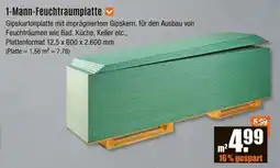V Baumarkt 1-Mann-Feuchtraumplatte Angebot