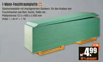 V Baumarkt 1-Mann-Feuchtraumplatte Angebot