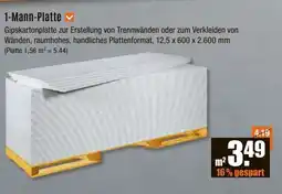 V Baumarkt 1-Mann-Platte Angebot