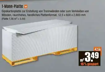 V Baumarkt 1-Mann-Platte Angebot