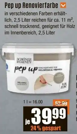 V Baumarkt SCHONER WOHNEN Pep up Renovierfarbe Angebot