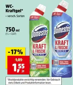 Thomas Philipps Domestos kraft & frische lime fresh Angebot
