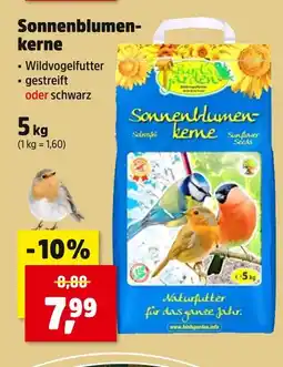 Thomas Philipps Birds garden sonnenblumenkerne gestreift Angebot