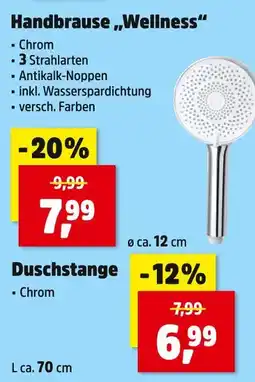 Thomas Philipps Handbrause 'wellness' Angebot