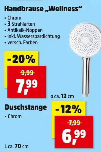 Thomas Philipps Handbrause 'wellness' Angebot