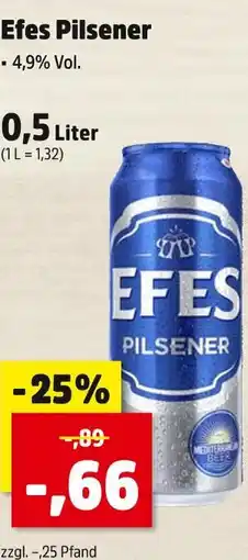 Thomas Philipps Efes pilsener Angebot