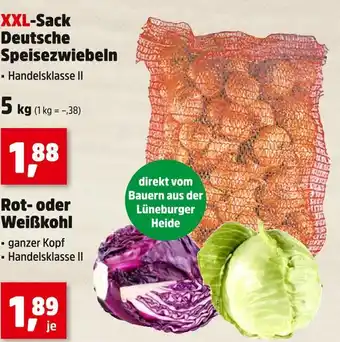 Thomas Philipps Xxl-sack deutsche speisezwiebeln Angebot