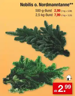 Zimmermann Nobilis o. nordmanntanne Angebot