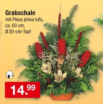 Zimmermann Grabschale Angebot