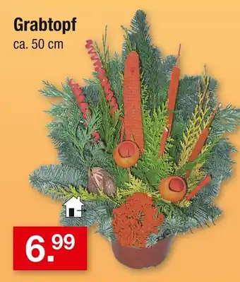 Zimmermann Grabtopf Angebot