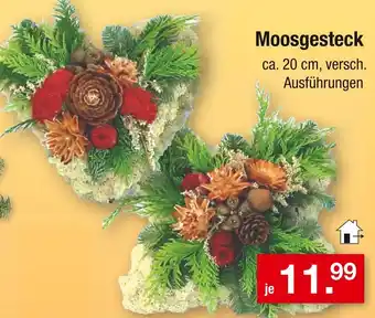 Zimmermann Moosgesteck Angebot